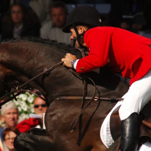 Hickstead ed Eric Lamaze