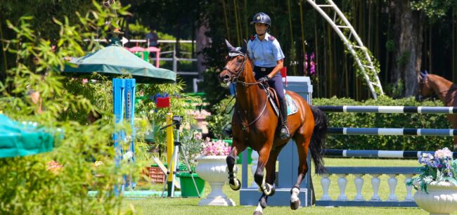 imagess, stefano secchi,