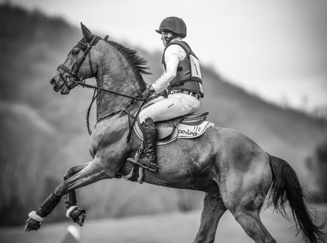 michael jung michael jung