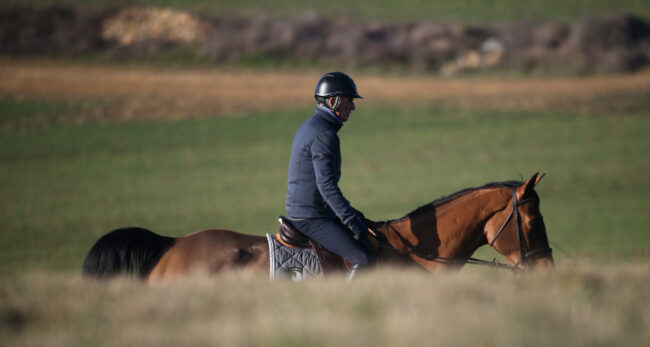 SS7_3141 copia_apertura