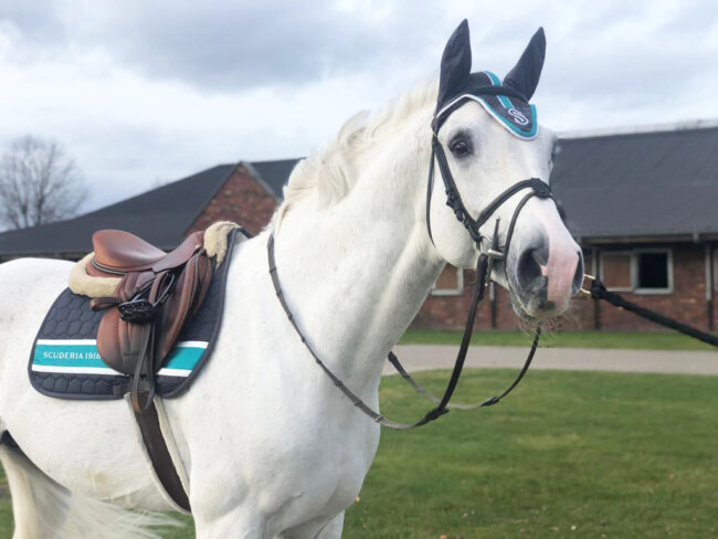 cac425a8-8cd8-4d14-988b-9e4028bbcf77