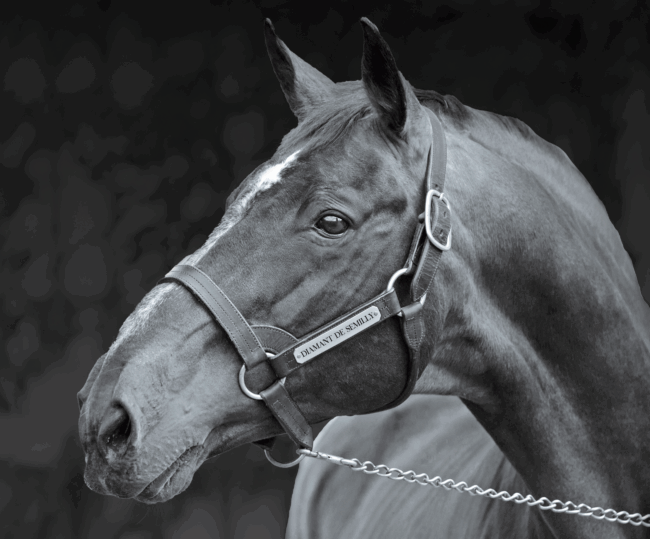 Banner articolo_C03-04_22_Cover_notestata