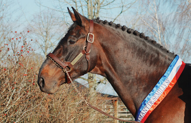 C4_21_Diamant-de-Semilly-30-ans-4-1