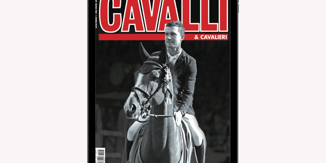 Progetto senza titolo (2)