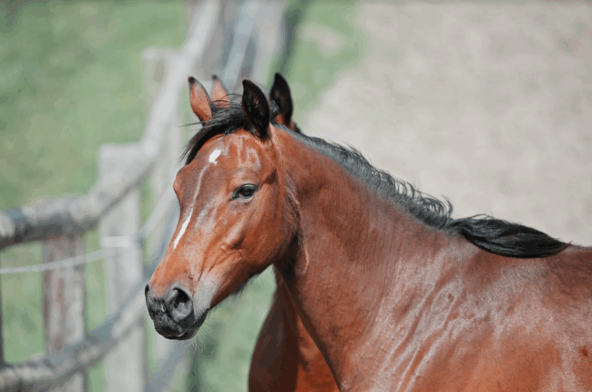 Schermata 2022-08-16 alle 18.43.01