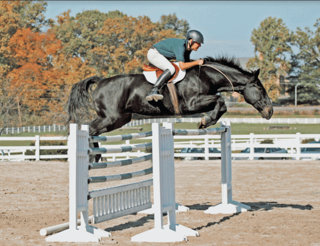 Schermata 2022-08-24 alle 17.03.27