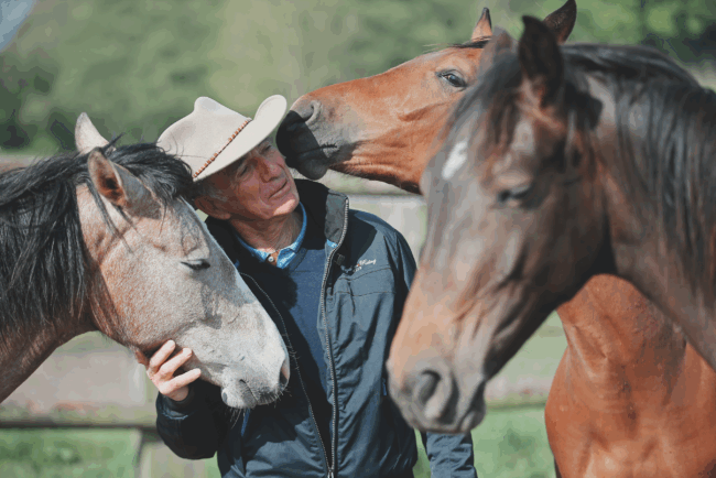 C09-10_22_WOW_France2017_SS7_6611_apertura