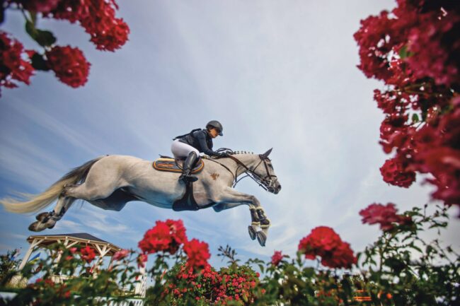 Apertura (Personalizzato)