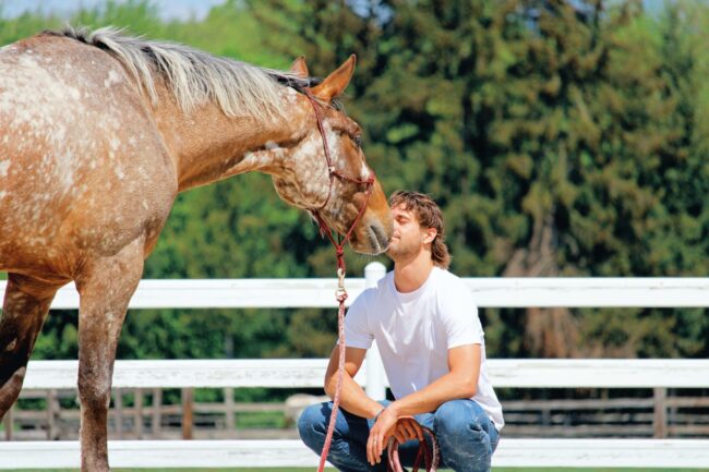 apertura (Personalizzato)
