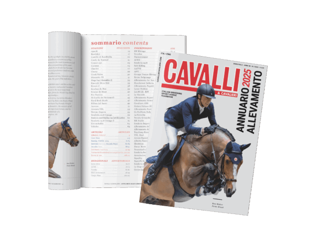 C01_25_Magazine-Yearbook_Mockup-summary