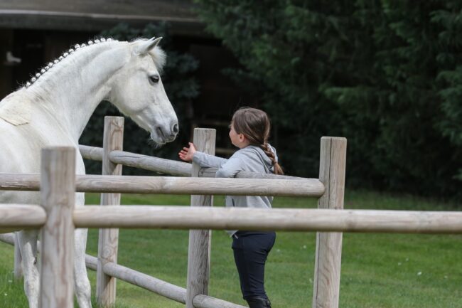 FOTO 1 (Personalizzato)