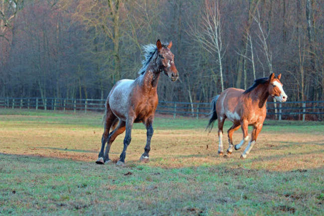 @progettoislander_-scaled