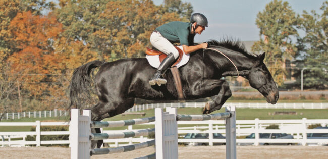 AngeloTelatin-Personalizzato-2