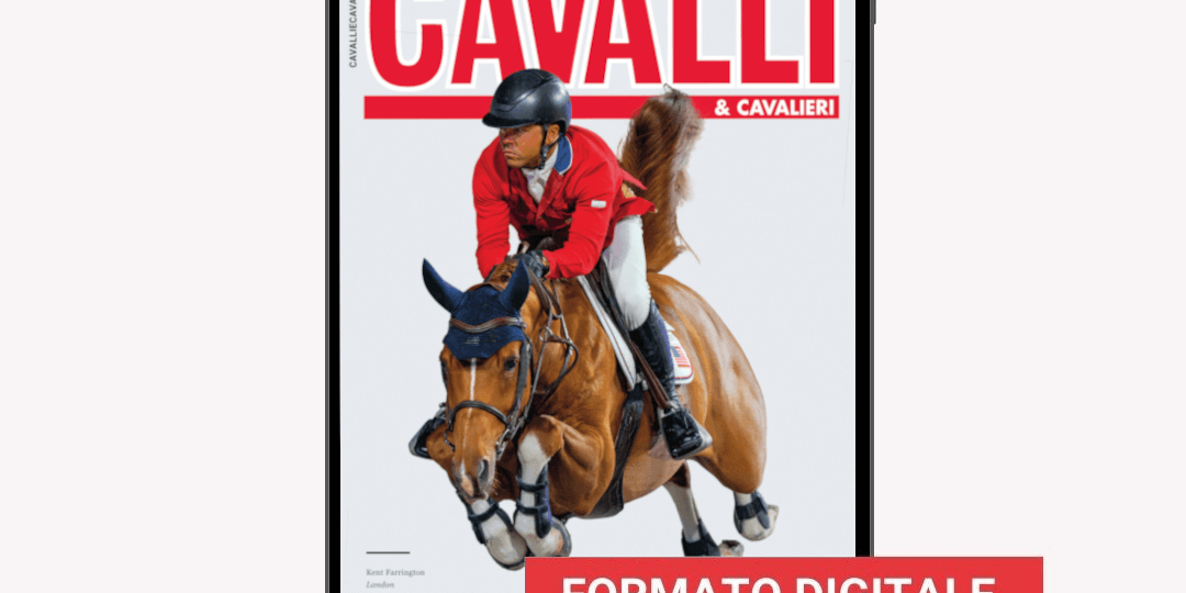 TRIMESTRALE-ANNO _38-N_2_2025