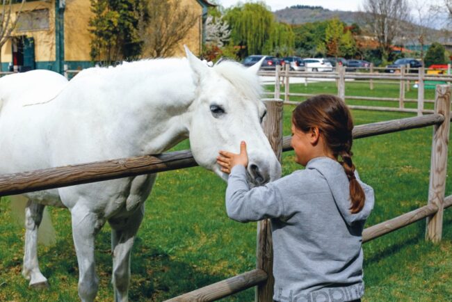 imagess, stefano secchi,